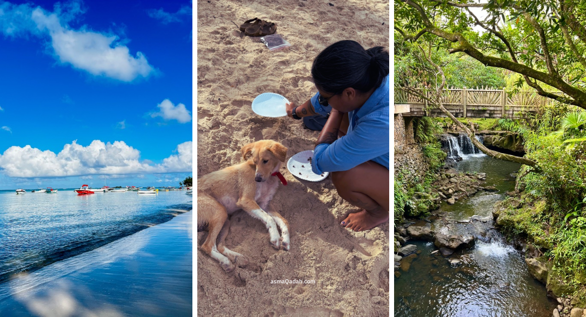 شاطئ استوائي هادئ مع قوارب صغيرة راسية بالقرب من الساحل، أسما قدح تجلس على الرمال وتطعم كلبًا على الشاطئ، جسر خشبي فوق مجرى مائي صغير وسط طبيعة خضراء